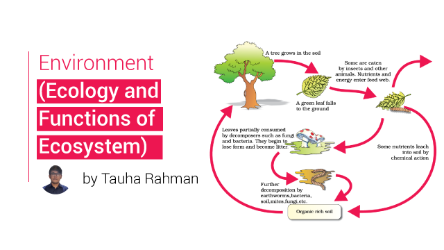 Ecology And Functions Of Ecosystem Upsc Pathshala